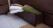 Кровать Лика Люкс с ящиками Олимп 80х200 см Венге RD1345 фото 3