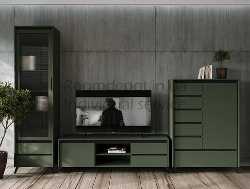 Современная витрина Лаундж REG 1W2S BRW Зеленый дымчастый/Черный Зеленый дымчастый/Черный RD307 фото