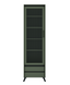 Современная витрина Лаундж REG 1W2S BRW Зеленый дымчастый/Черный RD307 фото 2
