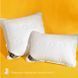 Подушка Air Dream Exclusive IDEIA 50*70 RD3049 фото 2