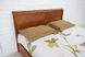 Ліжко з механізмом Ассоль Мікс Меблі 160х200 см Горіх світлий RD37-4 фото 3